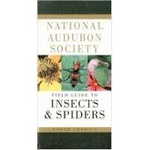 National Audubon Society Field Guide to North American Insects and Spiders