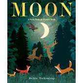 Environment & Nature Books for Kids :Moon: A Peek-Through Picture Book