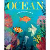 Ocean: A Peek-Through Picture Book