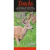 Mammals of Central and Northern California: Tracks, Scats and Signs