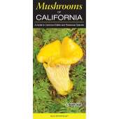 Mushroom Identification Guides :Mushrooms of California: A Guide to Common Edible and Poisonous Species