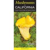 Mushrooms of California: A Guide to Common Edible and Poisonous Species