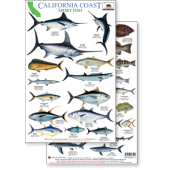 California Coast Field Guide: Sportfish