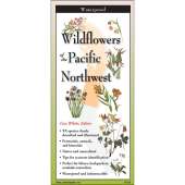Common Wildflowers of the Pacific Northwest