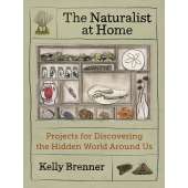 The Naturalist at Home: Projects for Discovering the Hidden World Around Us
