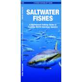 Saltwater Fishes 2nd Ed.