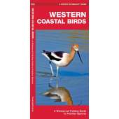 Western Coastal Birds: A Waterproof Folding Guide to Familiar Species 2nd ed.