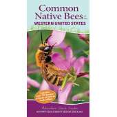 Common Native Bees of the Western United States - Book