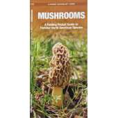 Mushrooms - A Folding Pocket Guide to Familiar North American Species - Laminated Pocket Guide
