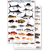 Panama Sport Fish (Laminated 2-Sided Card)