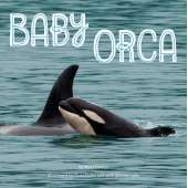 Baby Orca