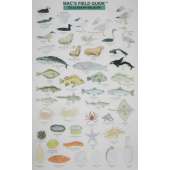 Mac's Field Guide to Alaskan Wildlife
