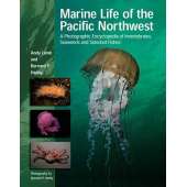 Marine Life of Pacific Northwest