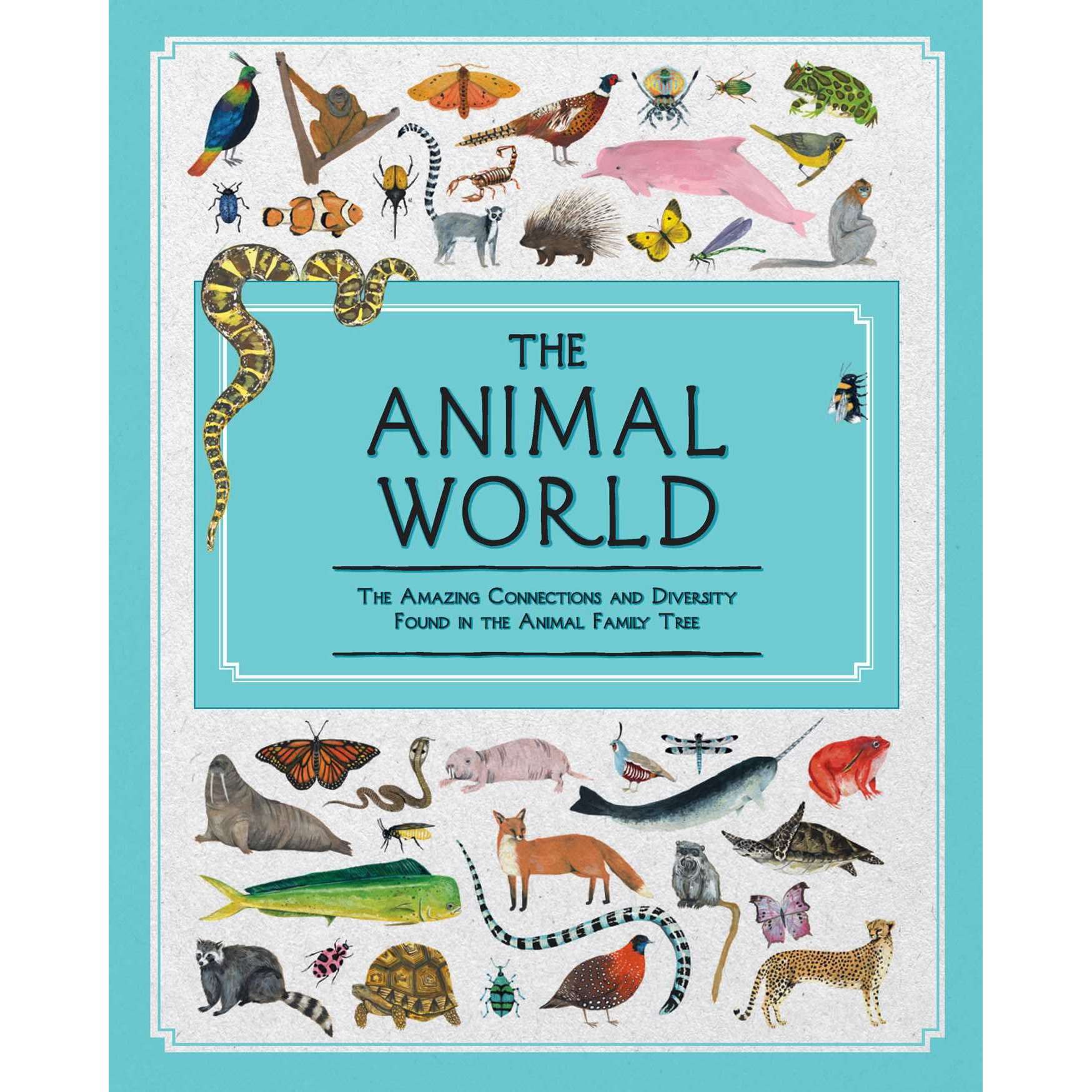 Children's Books :: All Children's Books :: Kids Books about Animals :: The  Animal World: The Amazing Connections and Diversity Found in the Animal  Family Tree - Paradise Cay - Wholesale Books,