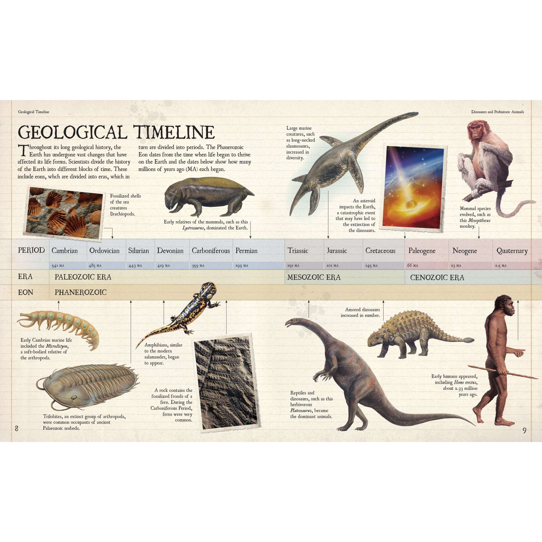 prehistoric firefly