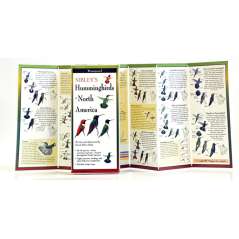 Sibley's Hummingbirds of North America (Folding Guides)