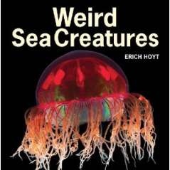 Weird Sea Creatures