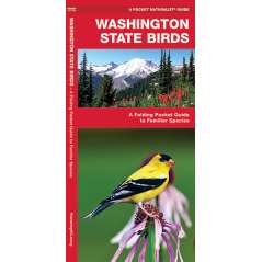 Washington Birds (Folding Pocket Guide)