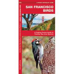 San Francisco Birds (Folding Pocket Guide)