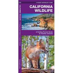 California Wildlife (Folding Pocket Guide)