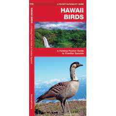 Hawaii Birds (Folding Pocket Guide)