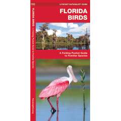 Florida Birds (Folding Pocket Guide)