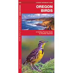 Oregon Birds (Folding Pocket Guide)