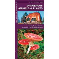 Dangerous Animals & Plants (Folding Pocket Guide)