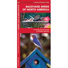 Backyard Birds of North America (Folding Pocket Guide)