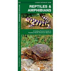 Reptiles & Amphibians  (Folding Pocket Guide)