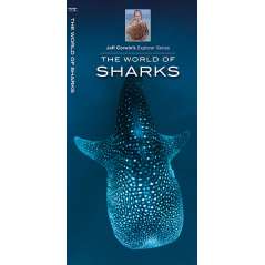 The World of Sharks (Folding Pocket Guide)