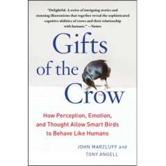 Gifts of the Crow: How Perception, Emotion, and Thought Allow Smart Birds to Behave Like Humans