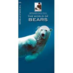 The World of Bears (Folding Pocket Guide)