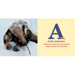 ABC ZooBorns!