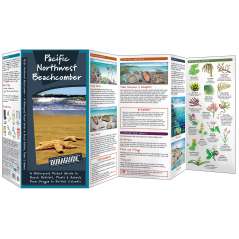 Pacific Northwest Beachcomber (Folding Pocket Guide)