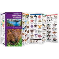 Oregon Wildlife  (Folding Pocket Guide)