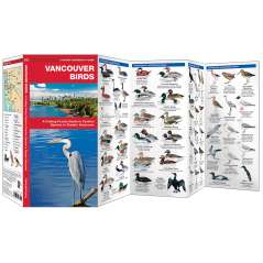 Vancouver Birds (Folding Pocket Guide)