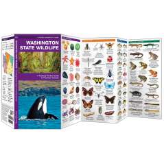 Washington State Wildlife  (Folding Pocket Guide)