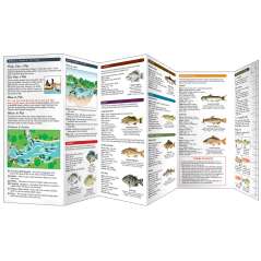 Freshwater Fishing (Folding Pocket Guide)