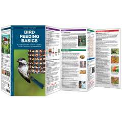 Bird Feeding Basics (Folding Pocket Guide)