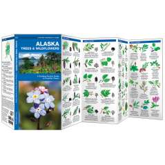Alaska Trees & Wildflowers