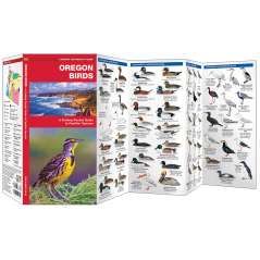 Oregon Birds
