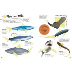 Ultimate Sticker Book: Sharks