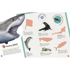 Ultimate Sticker Book: Sharks