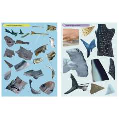 Ultimate Sticker Book: Sharks