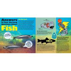 Do Fish Fart?: Answers to Kids' Questions About Lakes
