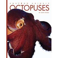 Octopuses