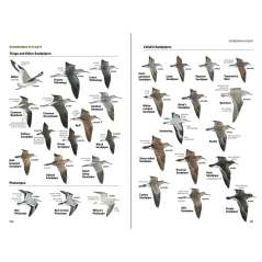 National Geographic Field Guide to the Birds of North America, 7th Edition