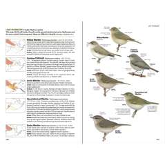 National Geographic Field Guide to the Birds of North America, 7th Edition