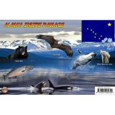 Alaska Inside Passage Map Guide LAMINATED CARD